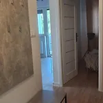 Przyjazny *
