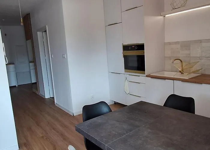 Przyjazny * رشيشوف