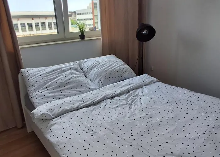 Przyjazny شقة رشيشوف