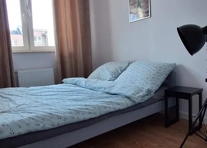 Przyjazny * رشيشوف