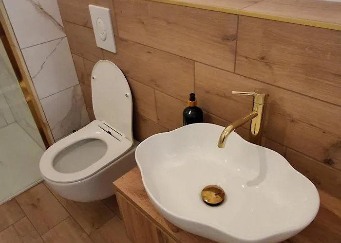 Przyjazny * رشيشوف